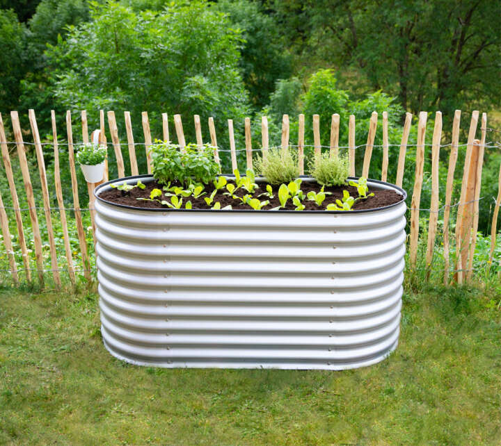 WESTMANN Hochbeet Grow Faster